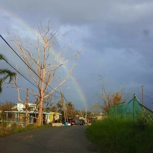 Meet your Posher, Carmen